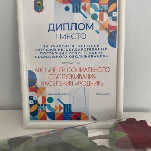 Лучший негосударственный поставщик услуг в сфере социального обслуживания
